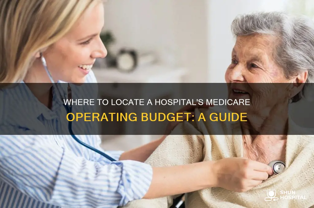 where do you find medicare operating budget for a hospital