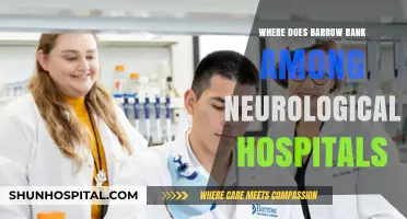 Barrow's Standing Among Top Neurological Hospitals: A Comprehensive Analysis