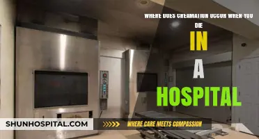 Hospital Cremation Process: What Happens After Passing Away in Medical Care?