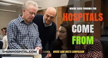 Exploring the Diverse Sources of Hospital Funding and Revenue Streams