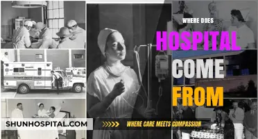 The Origins of Hospitals: A Historical Journey Through Healing Spaces