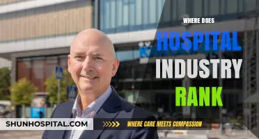 Hospital Industry's Global Standing: Ranking and Economic Impact Revealed