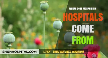 The Origin of Hospital Morphine: From Poppy Fields to Patient Care