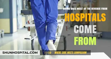Unveiling Hospital Revenue Streams: Primary Sources of Healthcare Funding
