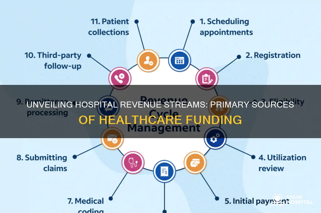 where does most of the revenue from hospitals come from