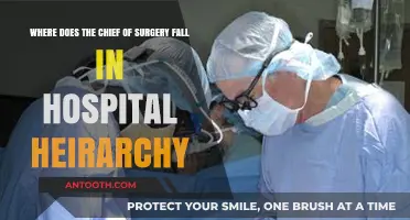 Chief of Surgery's Role and Rank in Hospital Leadership Structure