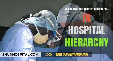 Chief of Surgery's Role and Rank in Hospital Leadership Structure