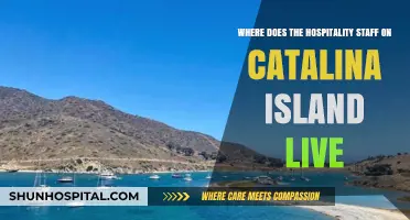 Catalina Island Hospitality Staff Housing: Where Do They Reside?