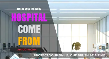 The Etymology of Hospital: A History of Healing