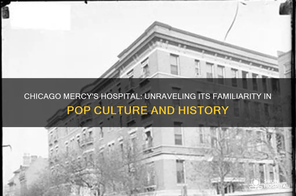 where have i heard of chicago mercy