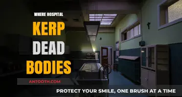 Where Do Hospitals Keep Deceased Patients? A Behind-the-Scenes Look
