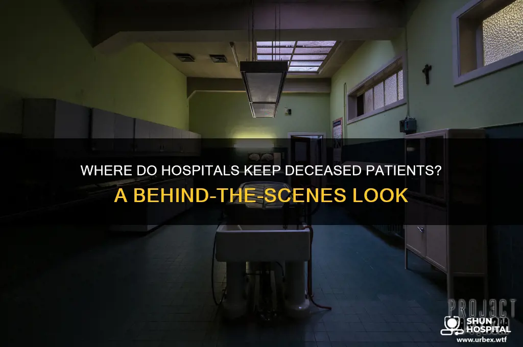 where hospital kerp dead bodies