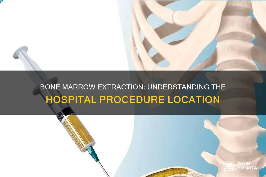 where in a hospital does bone marrow extraction happen