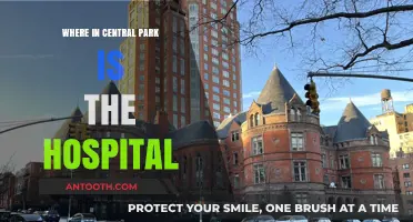 Central Park's Hidden Hospital: Location and History Revealed