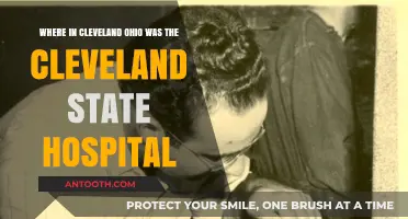 Cleveland State Hospital's Historic Location in Cleveland, Ohio Revealed