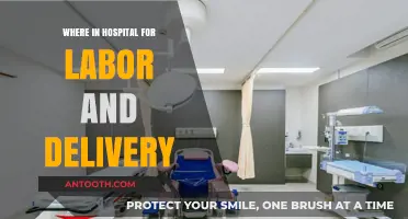 Navigating Hospital Labor and Delivery: Where to Go and What to Expect