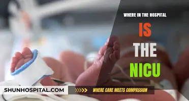 Where to Find the NICU: A Hospital Navigation Guide