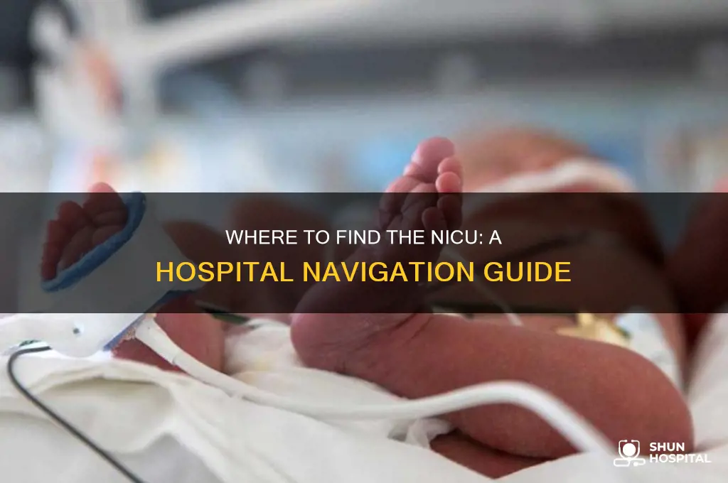 where in the hospital is the nicu