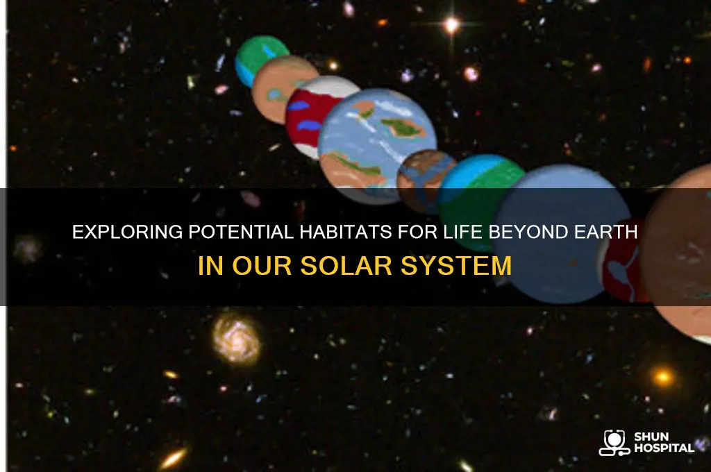 where in the solar system could life be hospitable