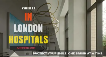 Exploring London's Hospitals: Uncovering the Location of the Letter E