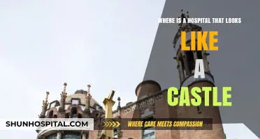 Discover the Majestic Castle-Like Hospital: A Unique Architectural Marvel