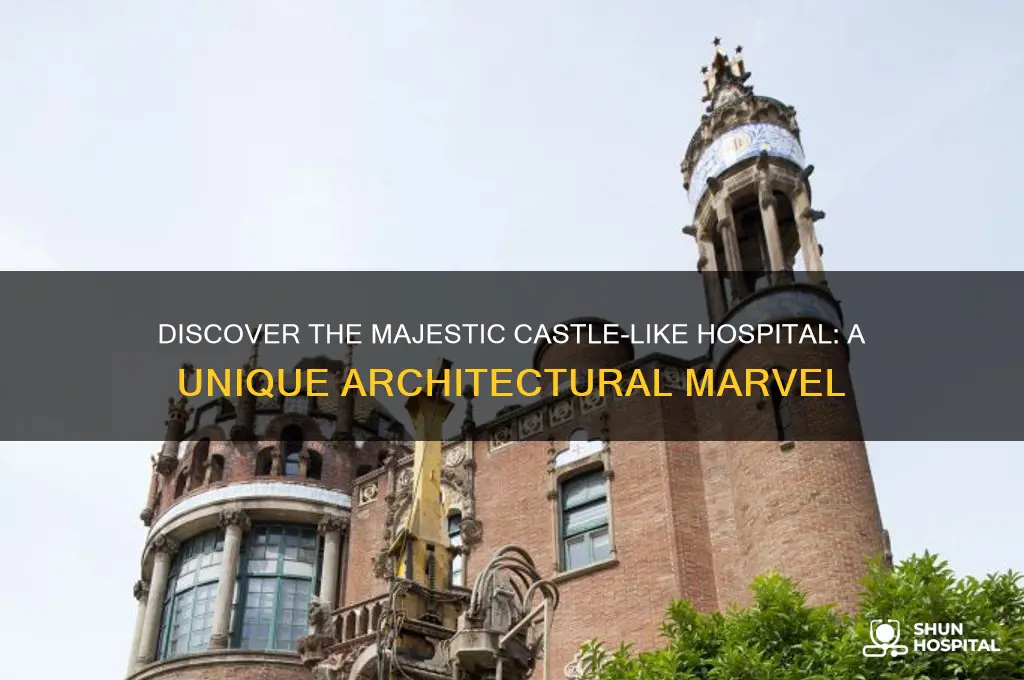 where is a hospital that looks like a castle