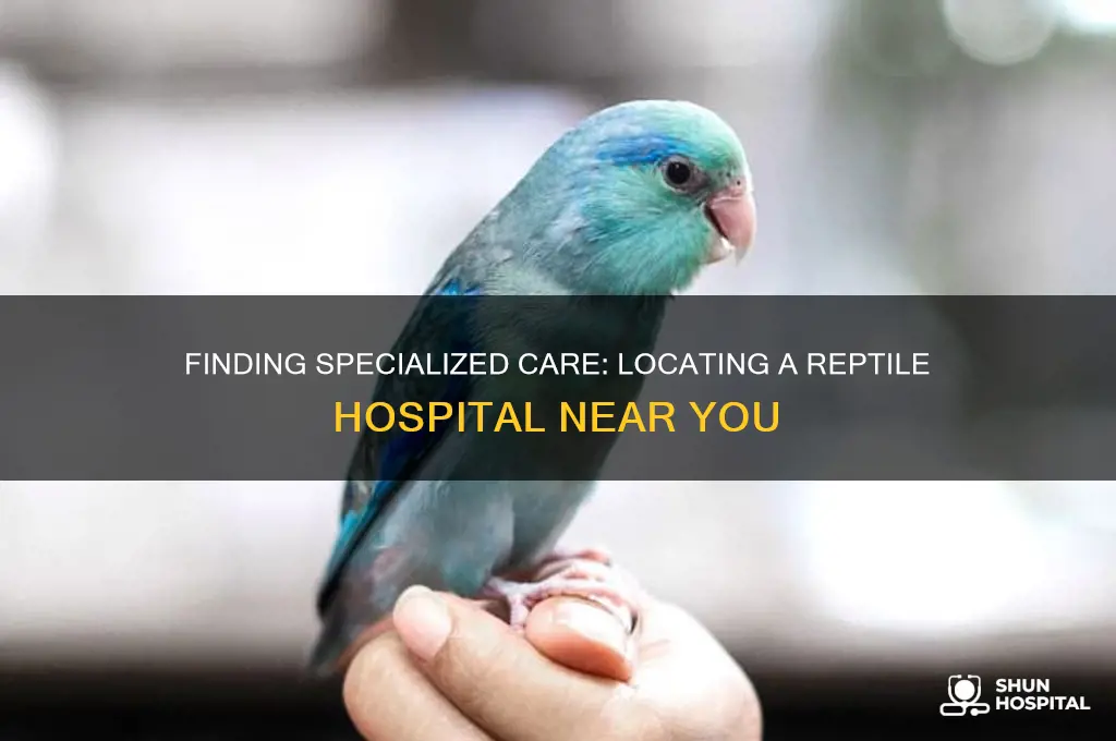 where is a reptile hospital