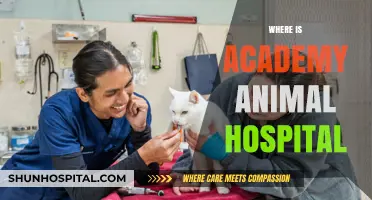 Locating Academy Animal Hospital: Address, Directions, and Contact Details