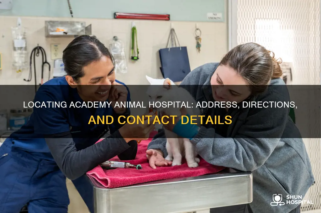 where is academy animal hospital