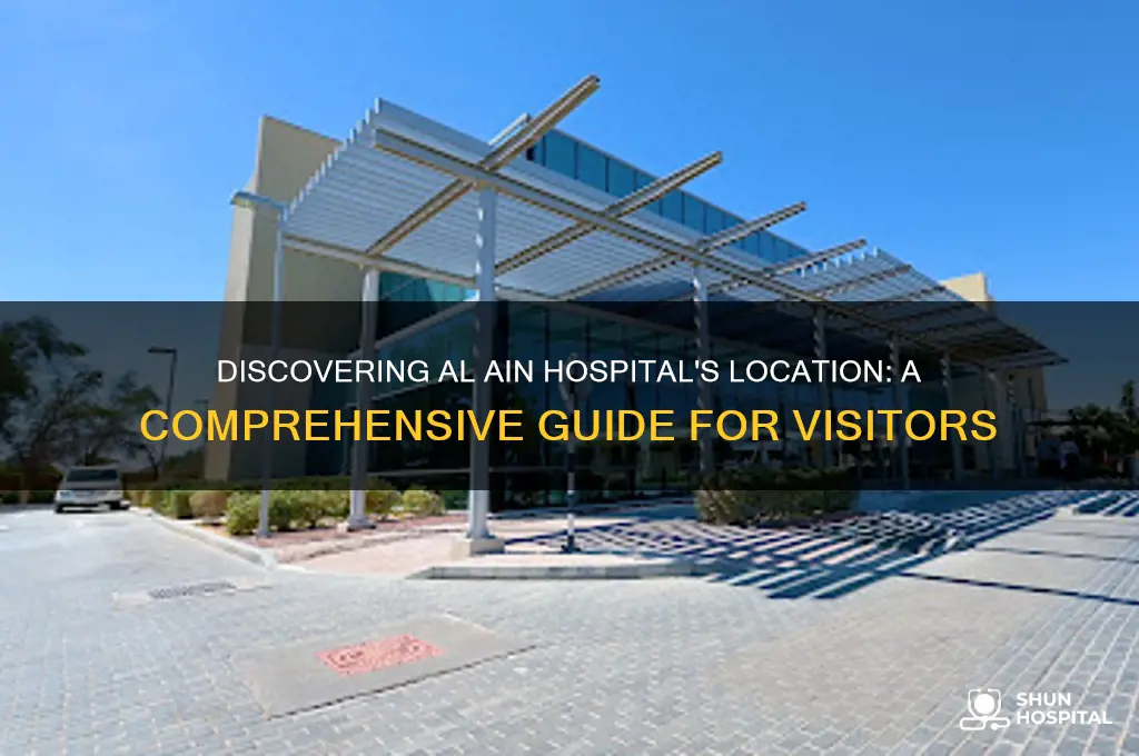 where is al ain hospital