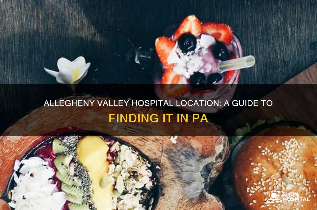 where is allegheny valley hospital in pa