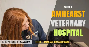 Locating Amherst Veterinary Hospital: Address, Directions, and Contact Details