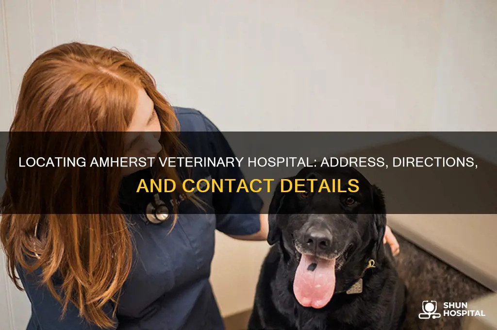 where is amhearst veternary hospital