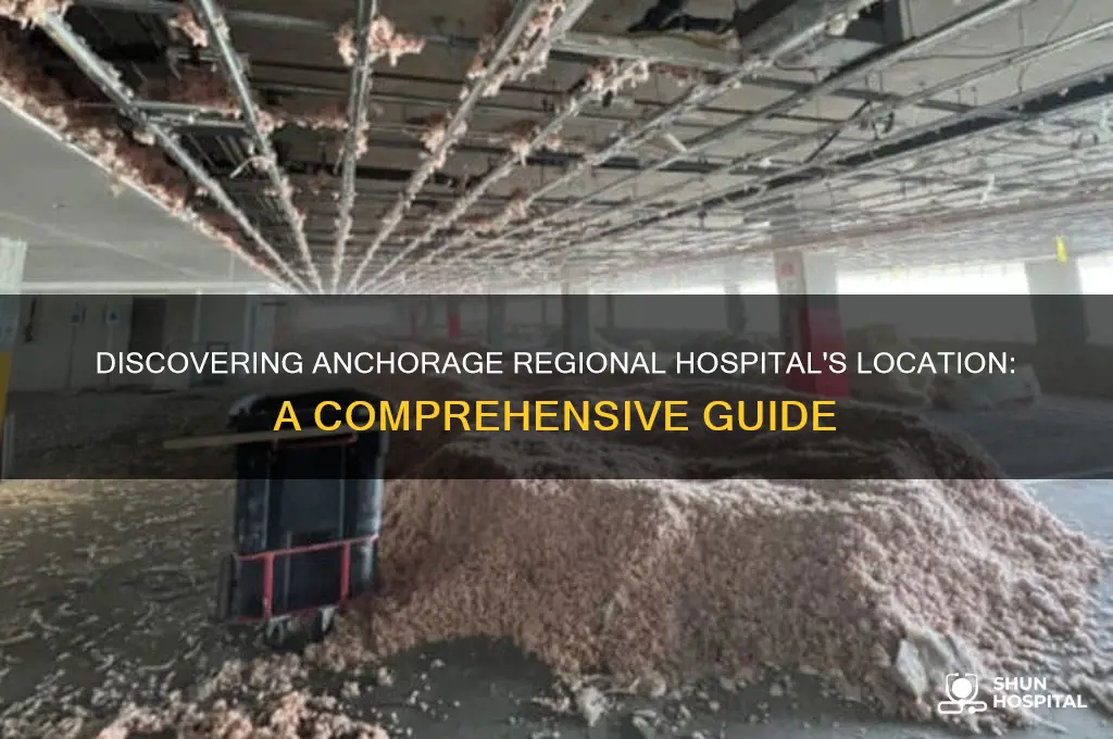 where is ankorage regional hospital