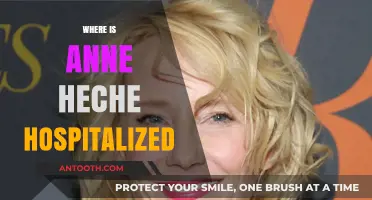 Anne Heche's Hospitalization: Location and Latest Updates Revealed