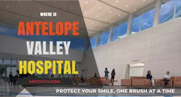 Discover Antelope Valley Hospital's Location and Essential Services Guide