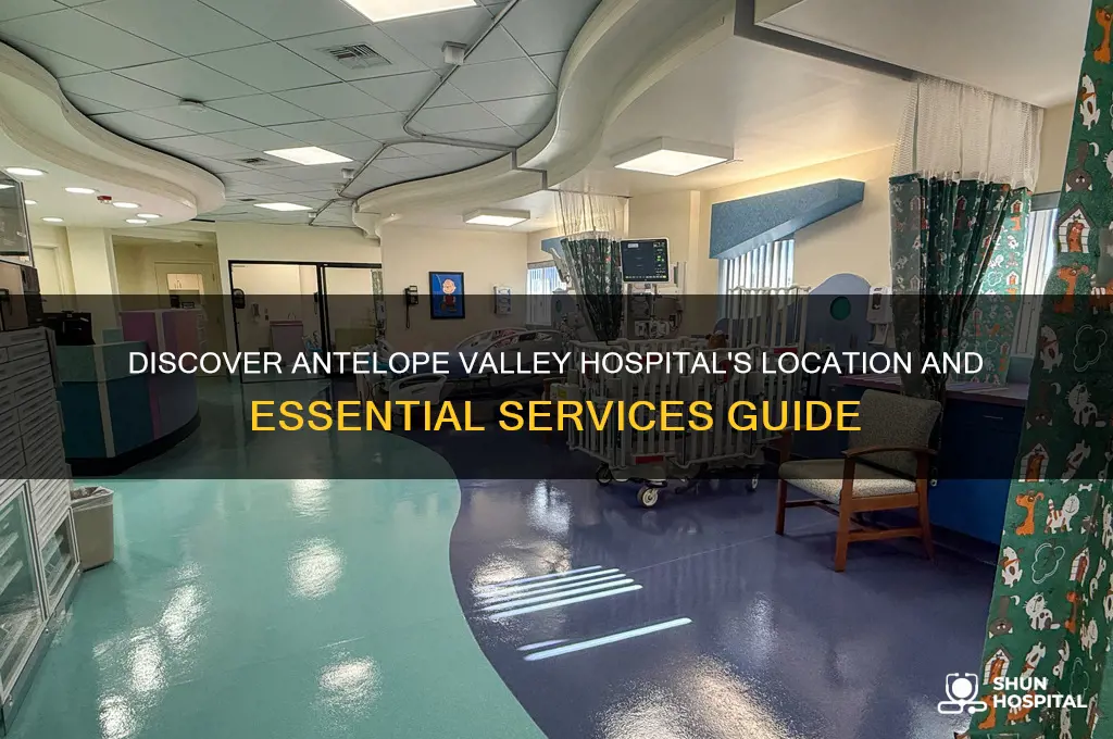 where is antelope valley hospital