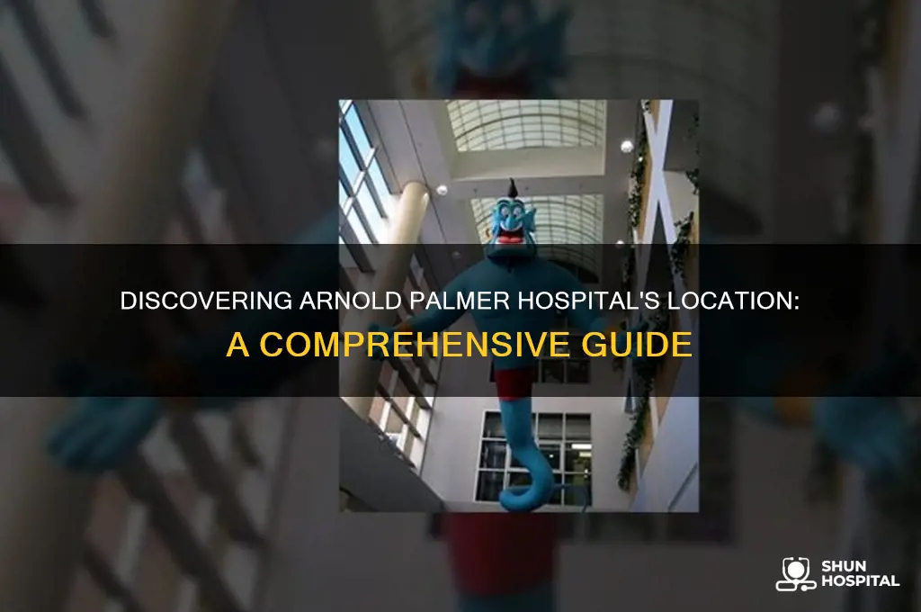 where is arnold palmer hospital
