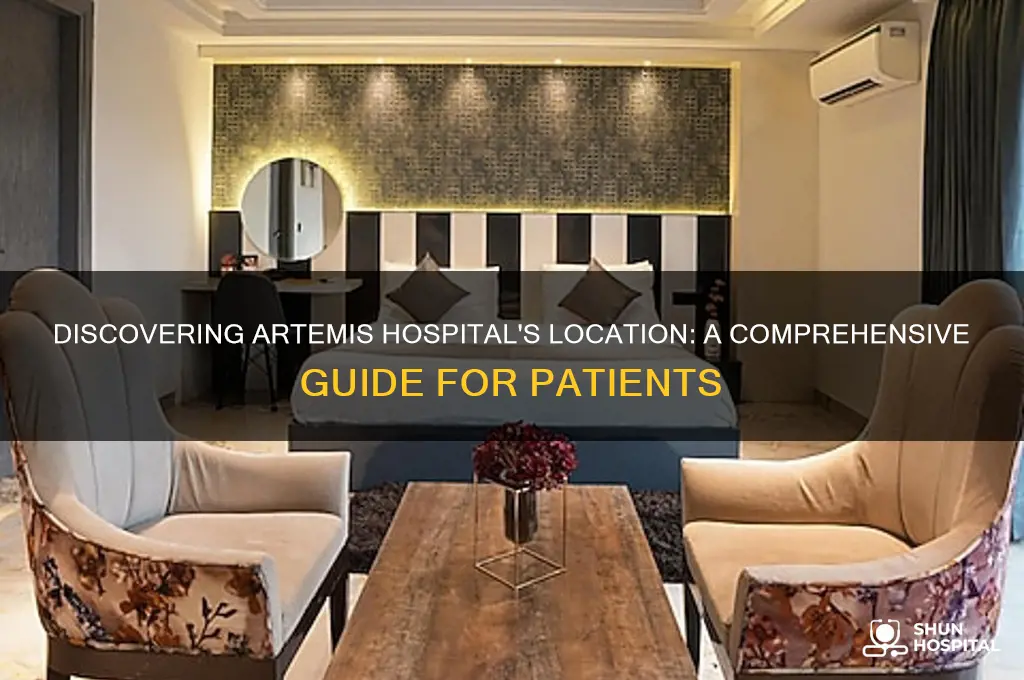 where is artemis hospital