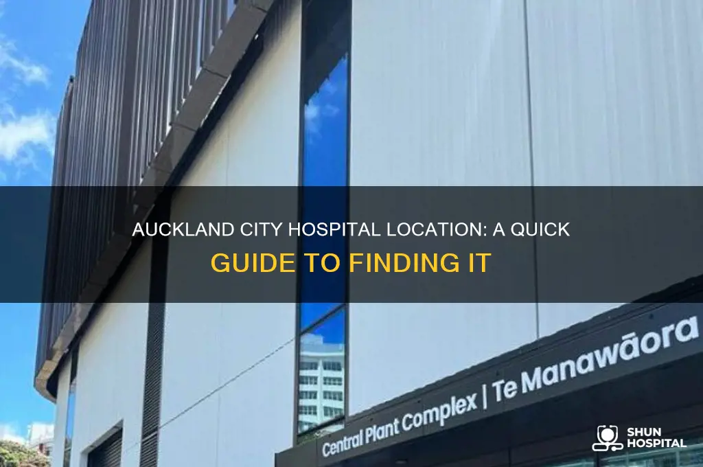 where is auckland city hospital