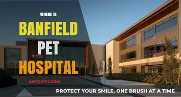 Locating Banfield Pet Hospital: A Comprehensive Guide to Nearby Clinics