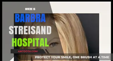Barbra Streisand's Hospitalization: Unraveling the Mystery of Her Whereabouts