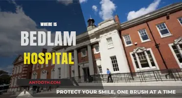 Unveiling the Historic Location of Bedlam Hospital in London