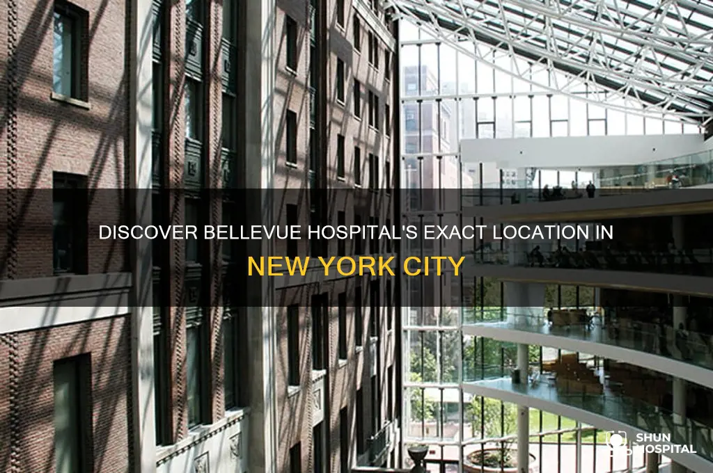 where is bellevue hospital at
