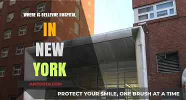 Bellevue Hospital Location: Navigating New York City's Historic Medical Center