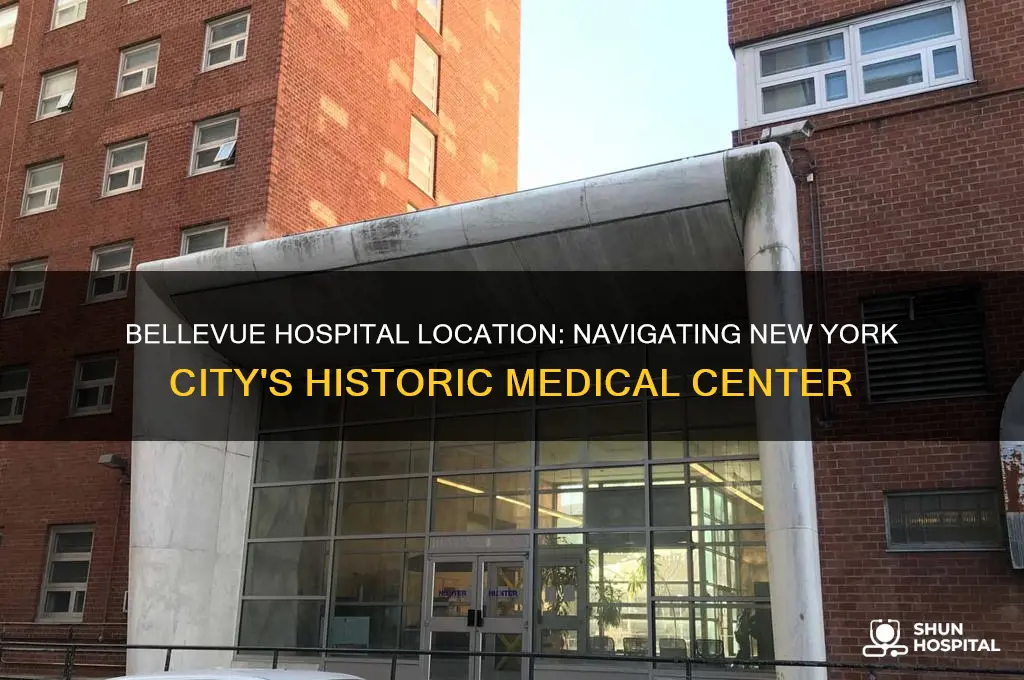 where is bellevue hospital in new york