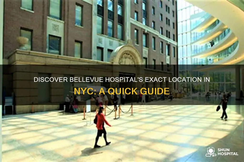 where is bellevue hospital nyc