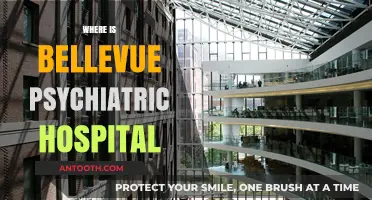 Exploring Bellevue Psychiatric Hospital's Location and Historical Significance