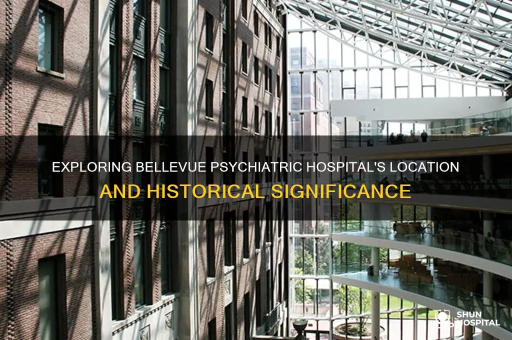 where is bellevue psychiatric hospital