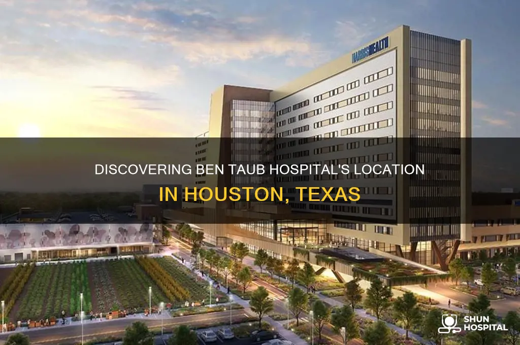 where is ben taub hospital